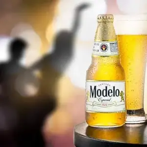 modelo
